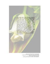 Load image into Gallery viewer, White Rose Leaflets