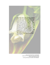 Load image into Gallery viewer, White Rose Leaflets
